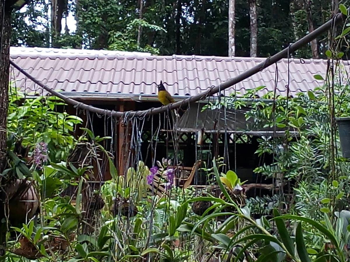Koh Kood Little Hut Hotel Ko Kut Luaran gambar