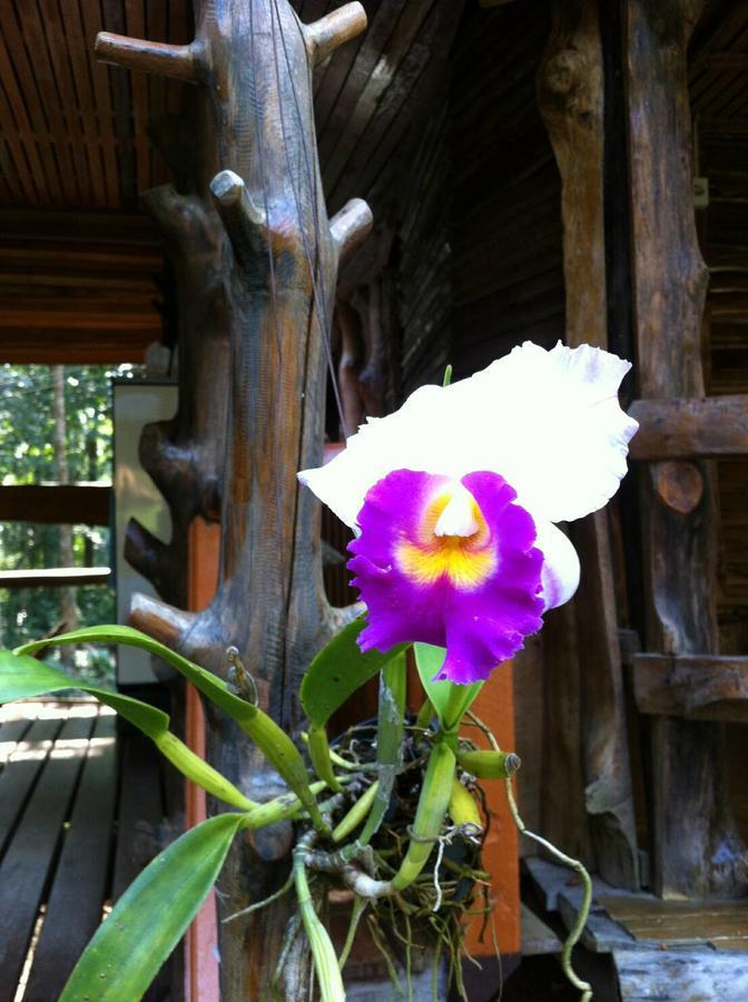 Koh Kood Little Hut Hotel Ko Kut Luaran gambar