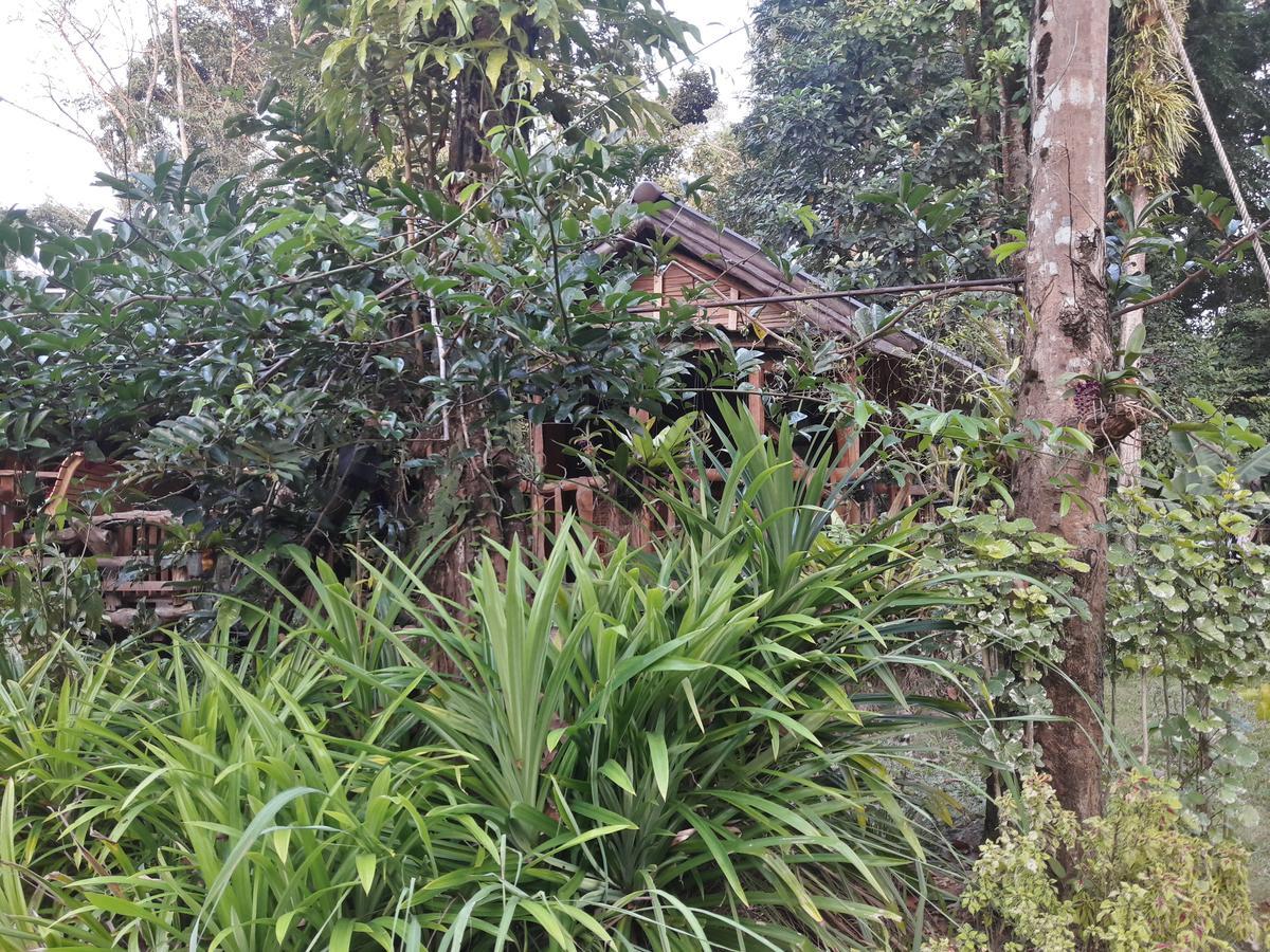 Koh Kood Little Hut Hotel Ko Kut Luaran gambar